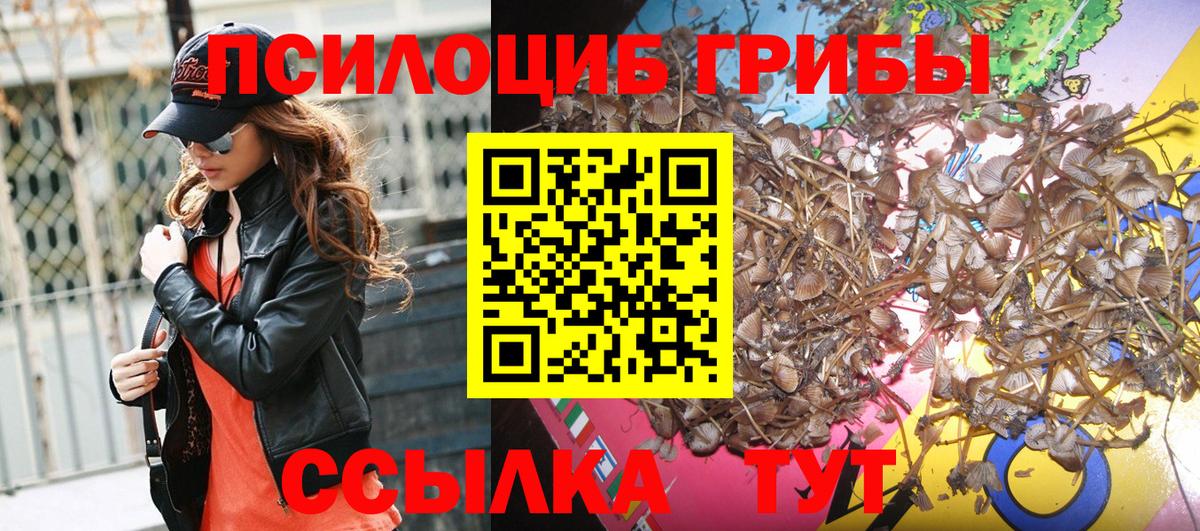 Галлюциногенные грибы Magic Shrooms Котлас